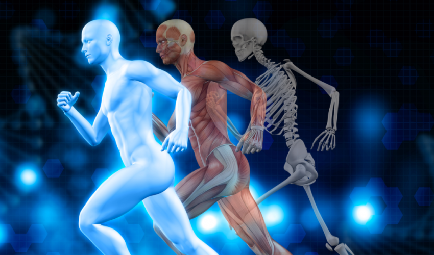 <a href="http://www.freepik.es/foto-gratis/el-cuerpo-humano_1022696.htm">Diseñado por Freepik</a>